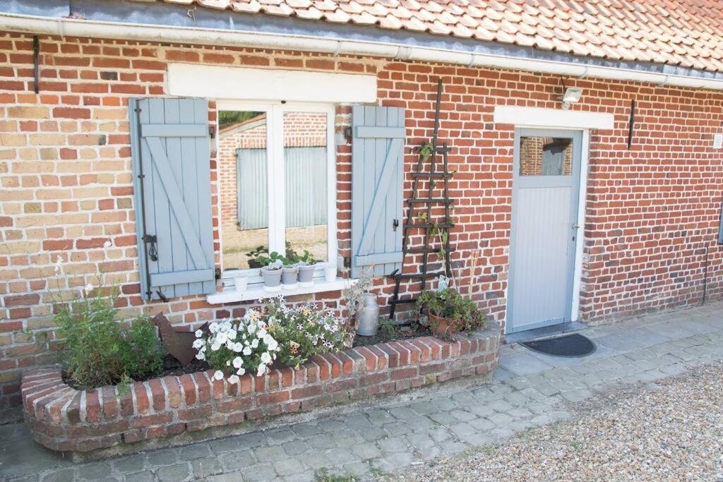 Cottage Chaleureux Au Coeur Des Monts De Flandres Saint-Jans-Cappel ภายนอก รูปภาพ