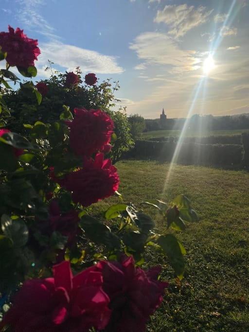 Cottage Chaleureux Au Coeur Des Monts De Flandres Saint-Jans-Cappel ภายนอก รูปภาพ